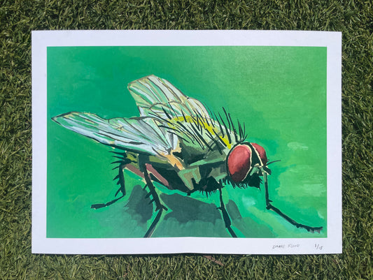 PRINT - "FLY"